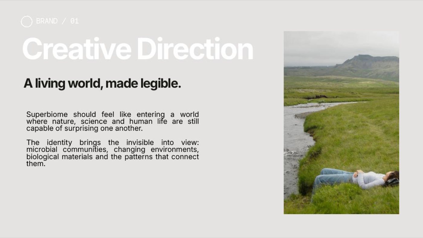 Creative direction