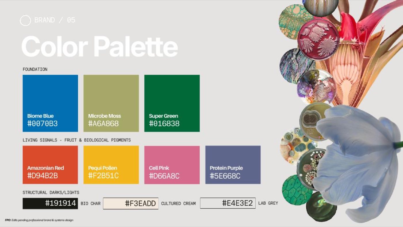 Palette